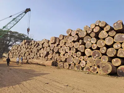 Large stockpile of round logs with a crane at the yard