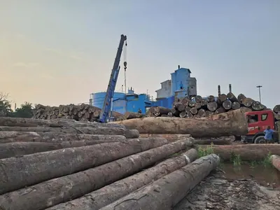 Round logs at the river side with a crane and factory behind