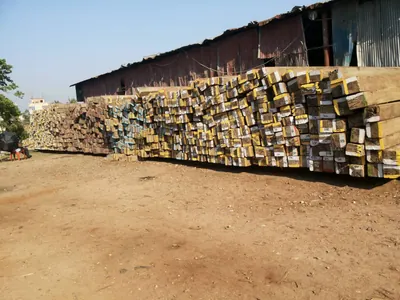 Sawn timber planks loaded in a container