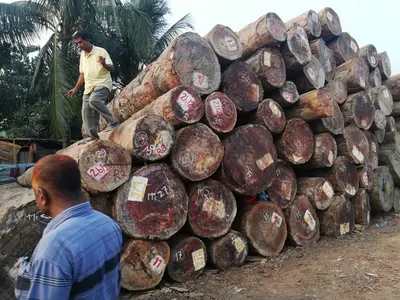 Workers inspecting marked round logs