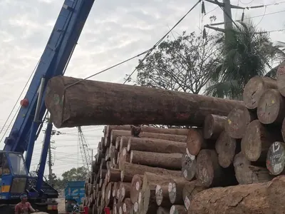 Crane lifting a large round log onto a stack
