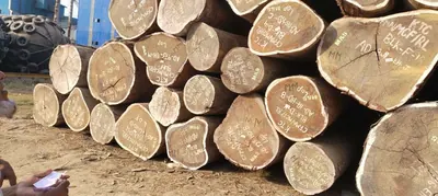 Close view of round log ends