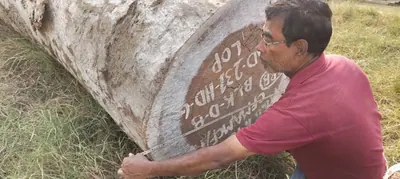 Worker marking the end of a round log