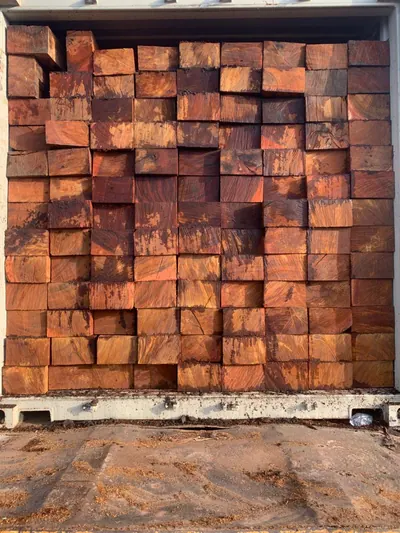 Container loaded with sawn timber